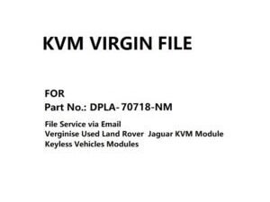 DPLA-70718-NM Virgin Chip Data KVM