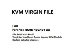 8G9N-19G481-AA Virgin Chip Data KVM