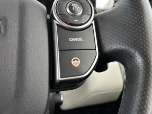 Heated Steering Wheel
